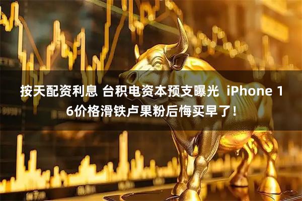 按天配资利息 台积电资本预支曝光  iPhone 16价格滑铁卢果粉后悔买早了！