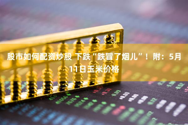股市如何配资炒股 下跌“跌冒了烟儿”！附：5月11日玉米价格